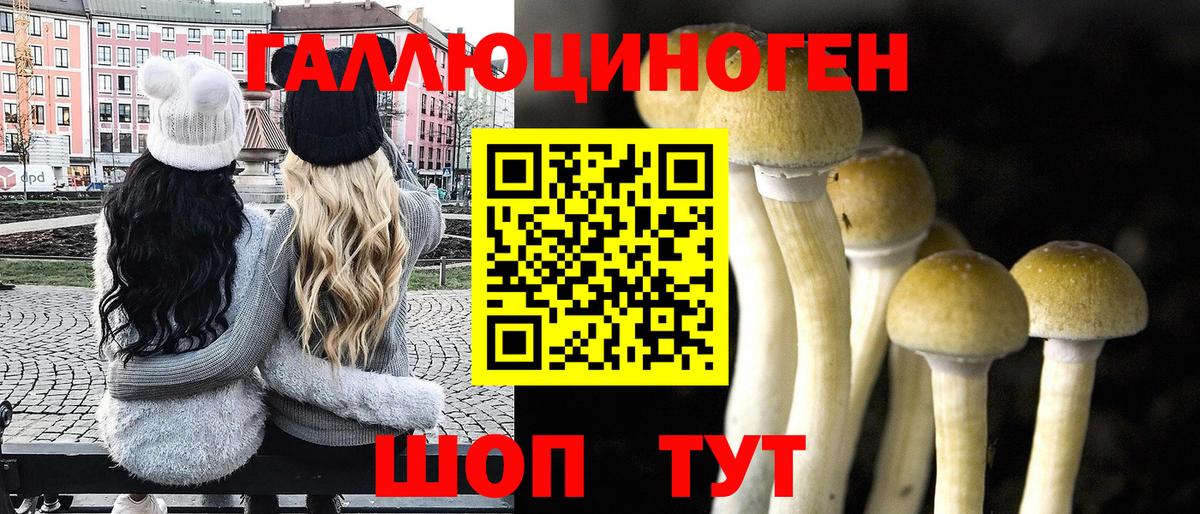 Лесосибирск  Псилоцибиновые грибы Psilocybe  Псилоцибиновые грибы ЛСД  Вход с VPN 