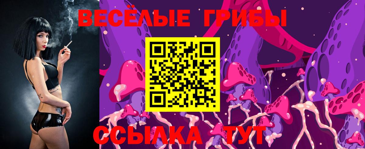 Псилоцибиновые грибы Psilocybe Лесосибирск